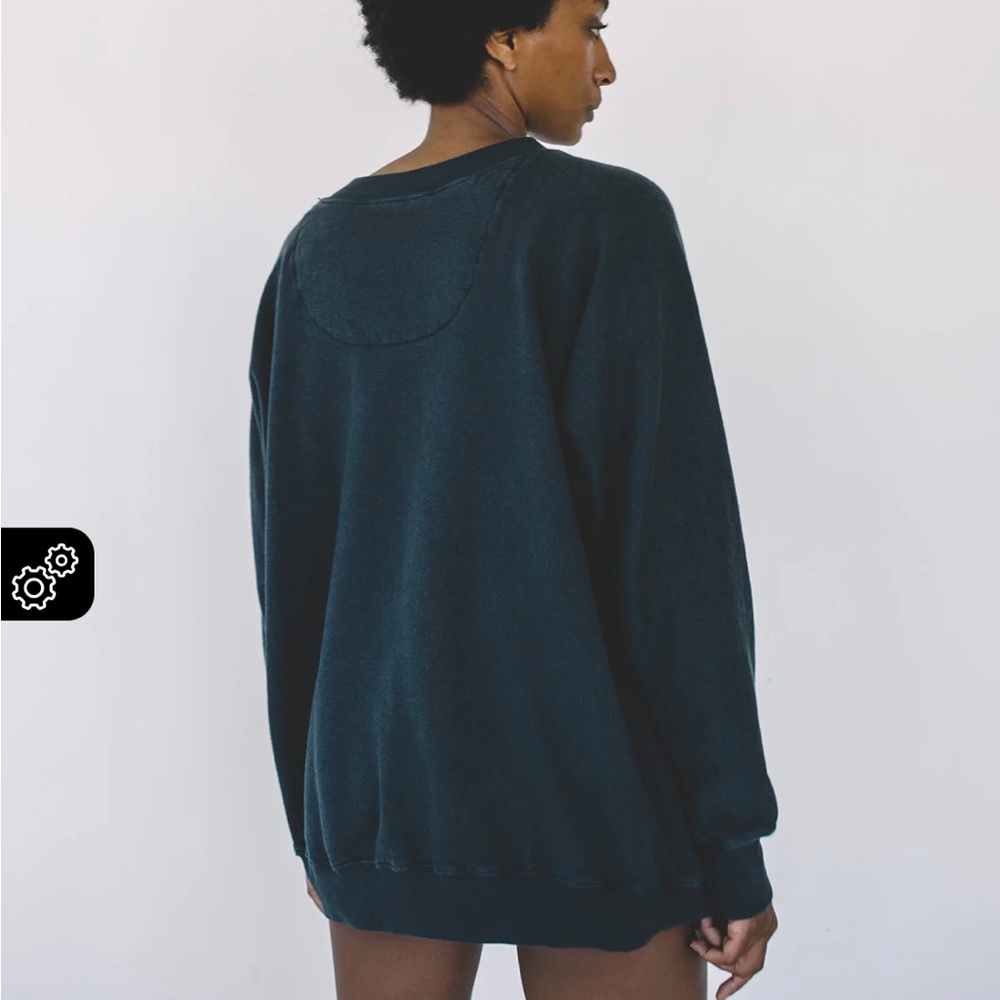 Aliya Wanek Tig Sweatshirt size 2